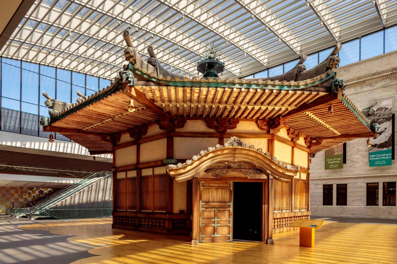 Shoe Shredder | Andrew Wegman