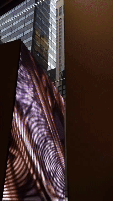 Shoe Shredder | Andrew Wegman